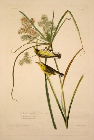 Tam O'Neill Fine Arts Gallery-丹佛必去景点