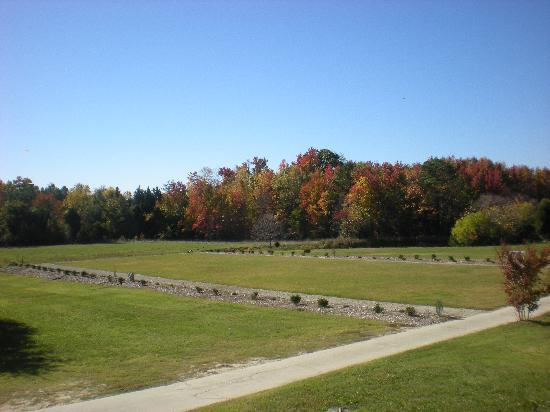 Williamsburg Winery-威廉斯堡必去景点