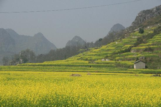 屯堡村景点图片