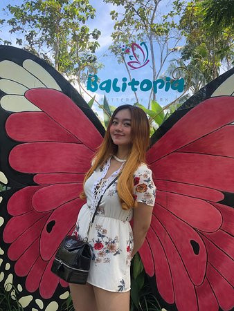Balitopia Butterfly Park景点图片