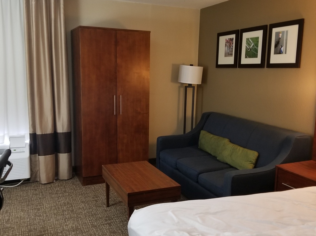 COMFORT INN - NORTH TXE81主图