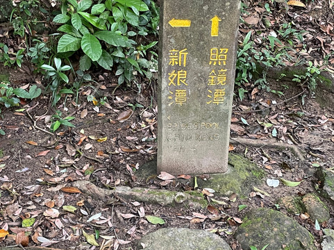 新娘潭自然教育径-香港必去景点