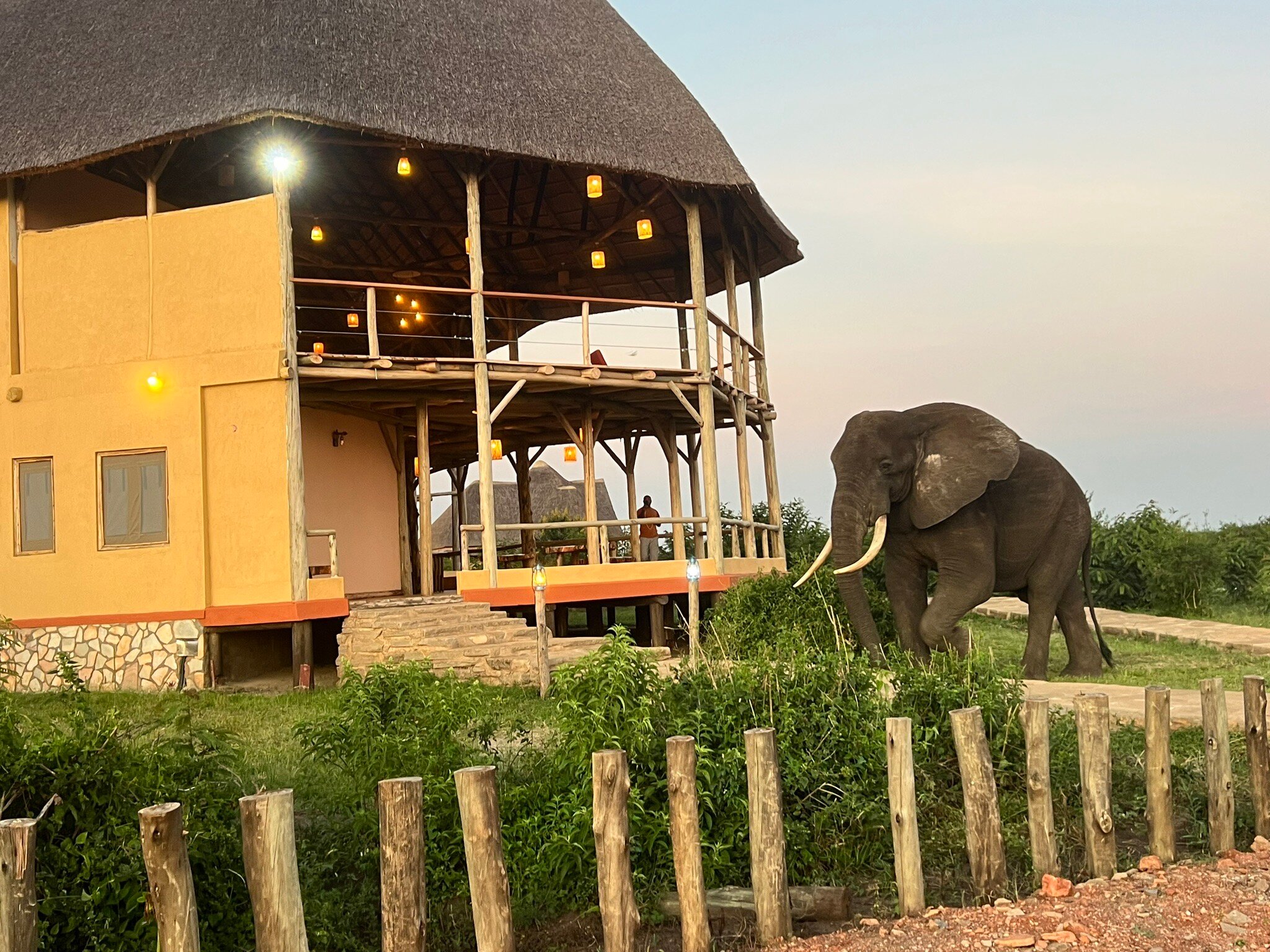 Aardvark Safari Lodge-官方