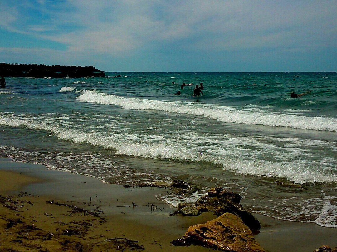 Skafidia Beach-Skafidia必去景点