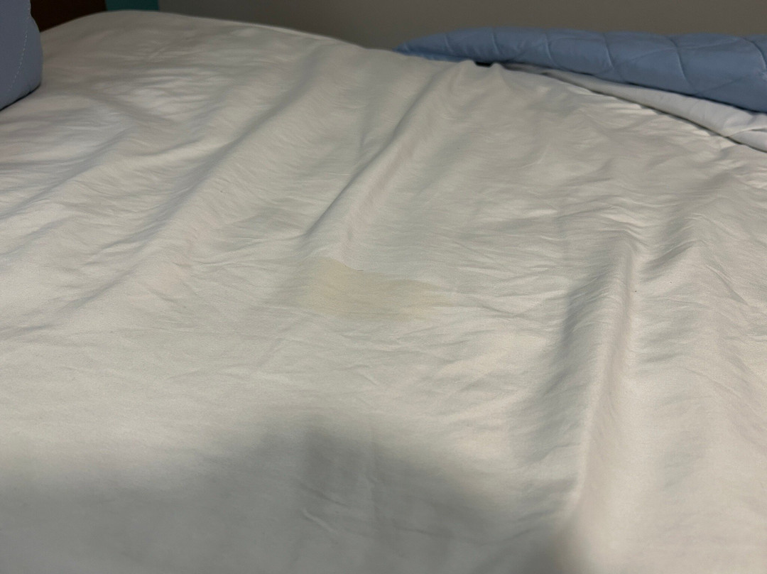 The Sand Dollar Motel主图