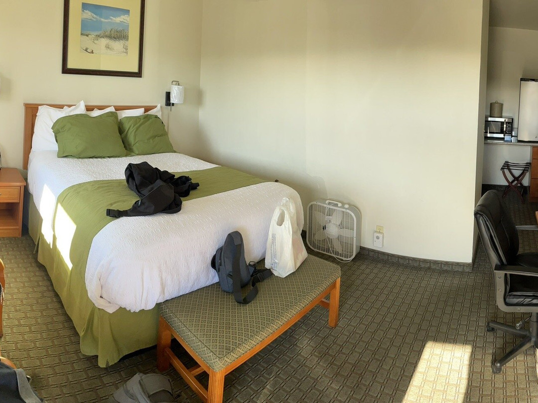 Rodeway Inn Newport主图