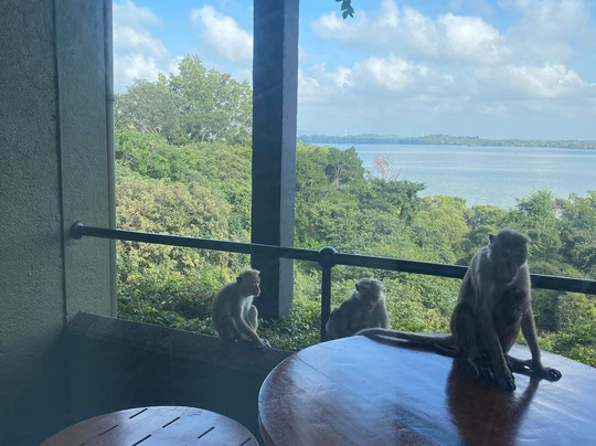 GRAND SRI LANKA TOURS-科伦坡必去景点