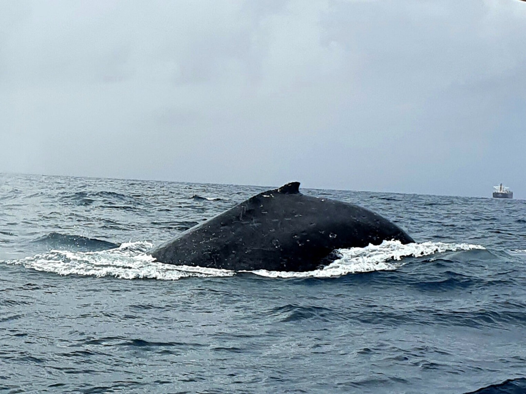 Lake Mac Watersports-麦觉理湖必去景点