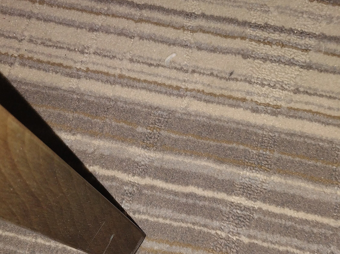 Holiday Inn Express & Suites Houston E - Pasadena by IHG主图