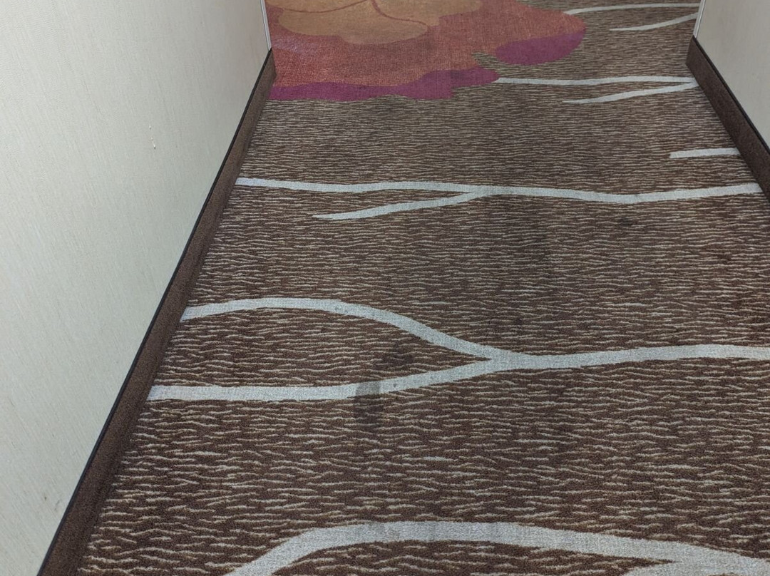 Hilton Garden Inn Cordova主图