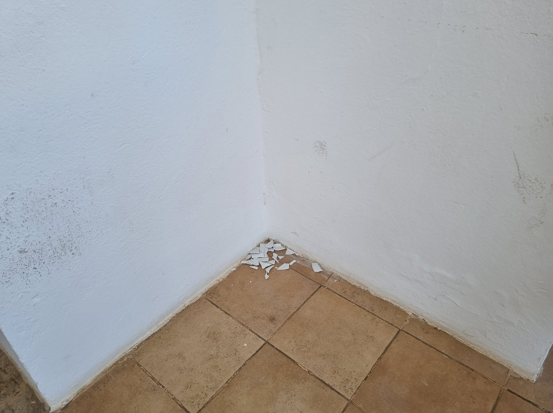 Club Palm Azur Families and Couples主图