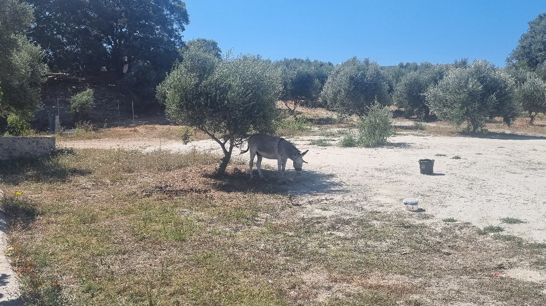Cretan Aroma-Agkouseliana必去景点