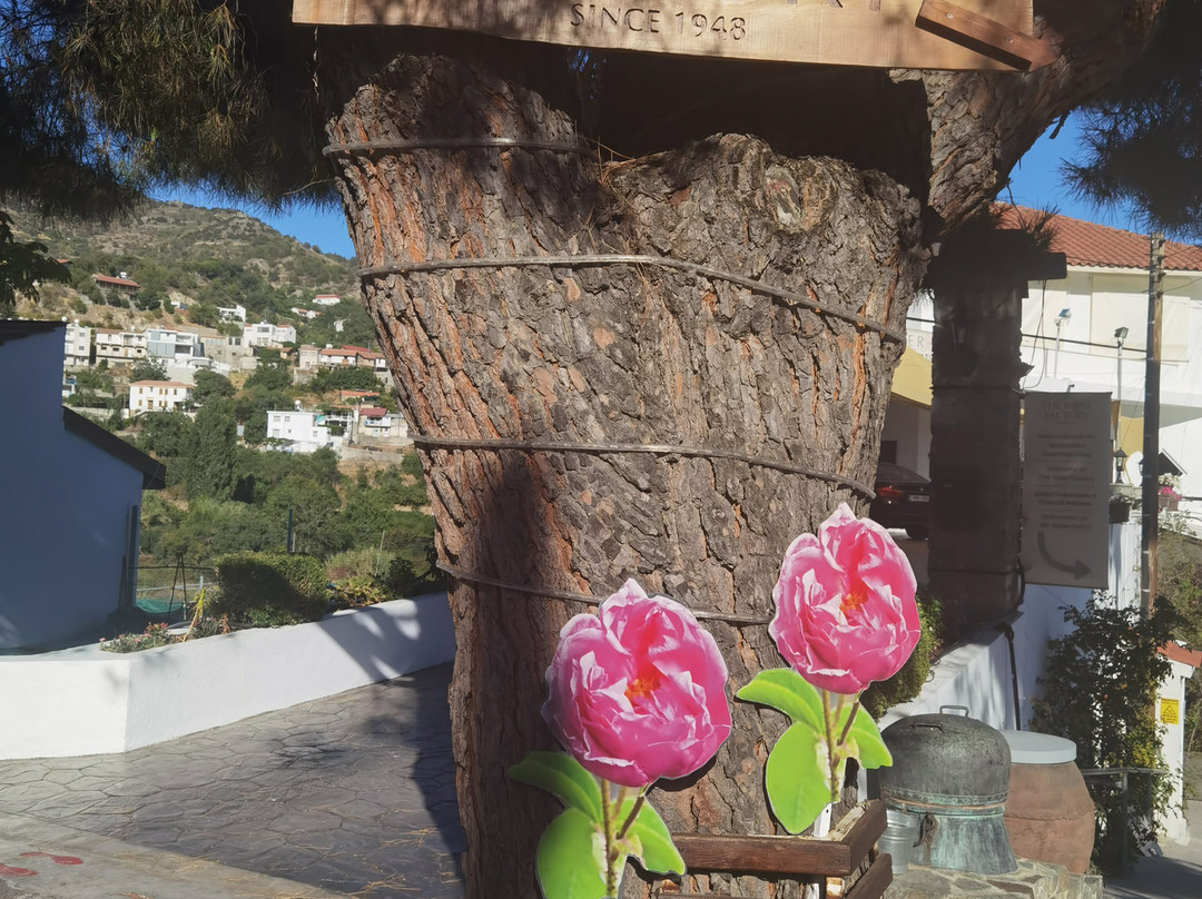 THE ROSE FACTORY CHRIS N. TSOLAKIS-Agros必去景点