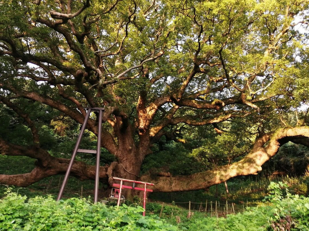 Shishijima no Okusu景点图片