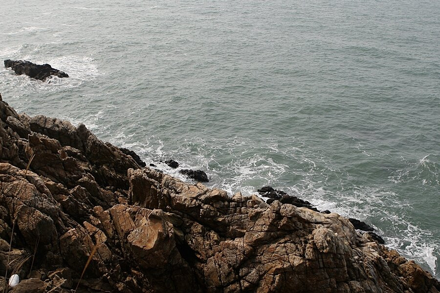 Seocheon Maryang-ri Camellia Forest-舒川郡必去景点