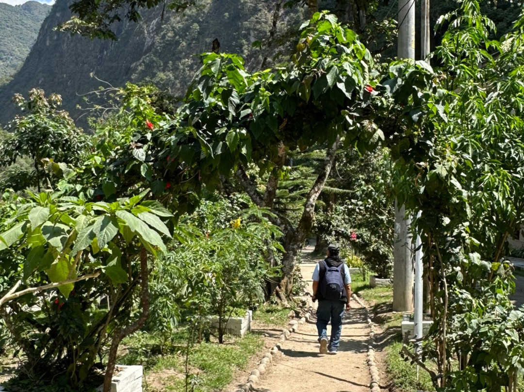 马丘比丘苏马哥酒店主图