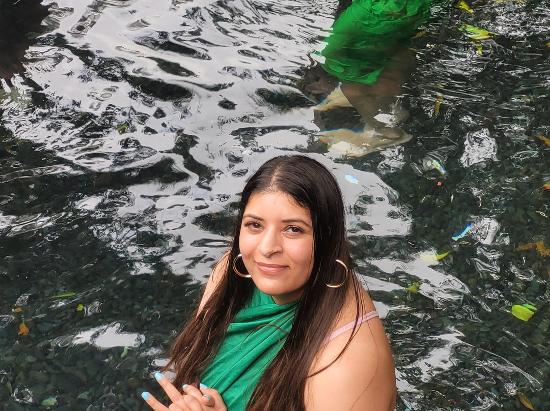 Bali Hopper Tour-登巴萨必去景点