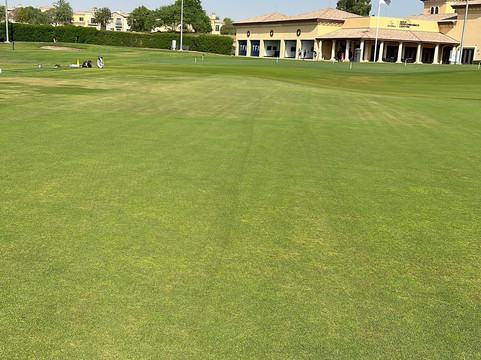 Tommy Fleetwood Academy-迪拜必去景点