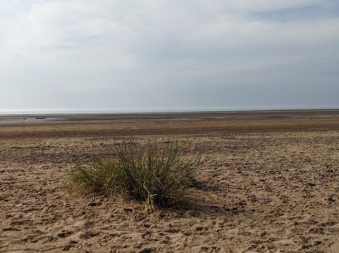 Sand Bay景点图片