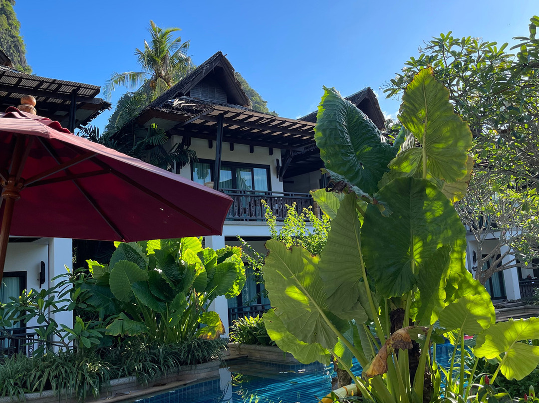 莱利乡村度假村主图