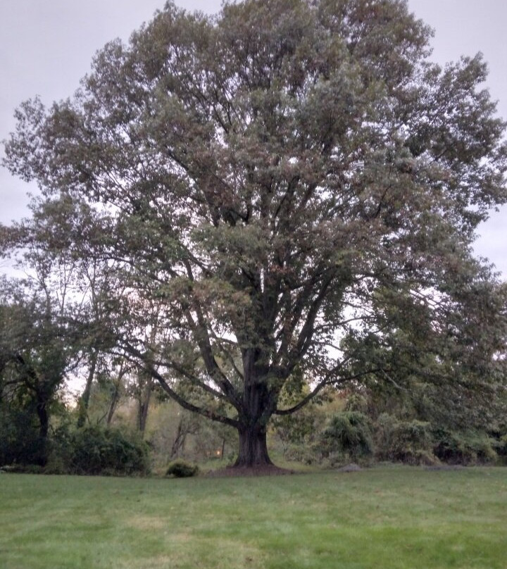 Chimney Hill Estate Inn主图