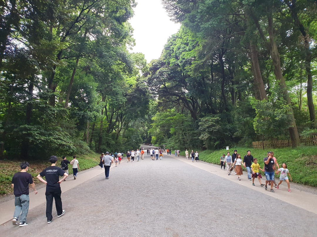 代代木公园景点图片