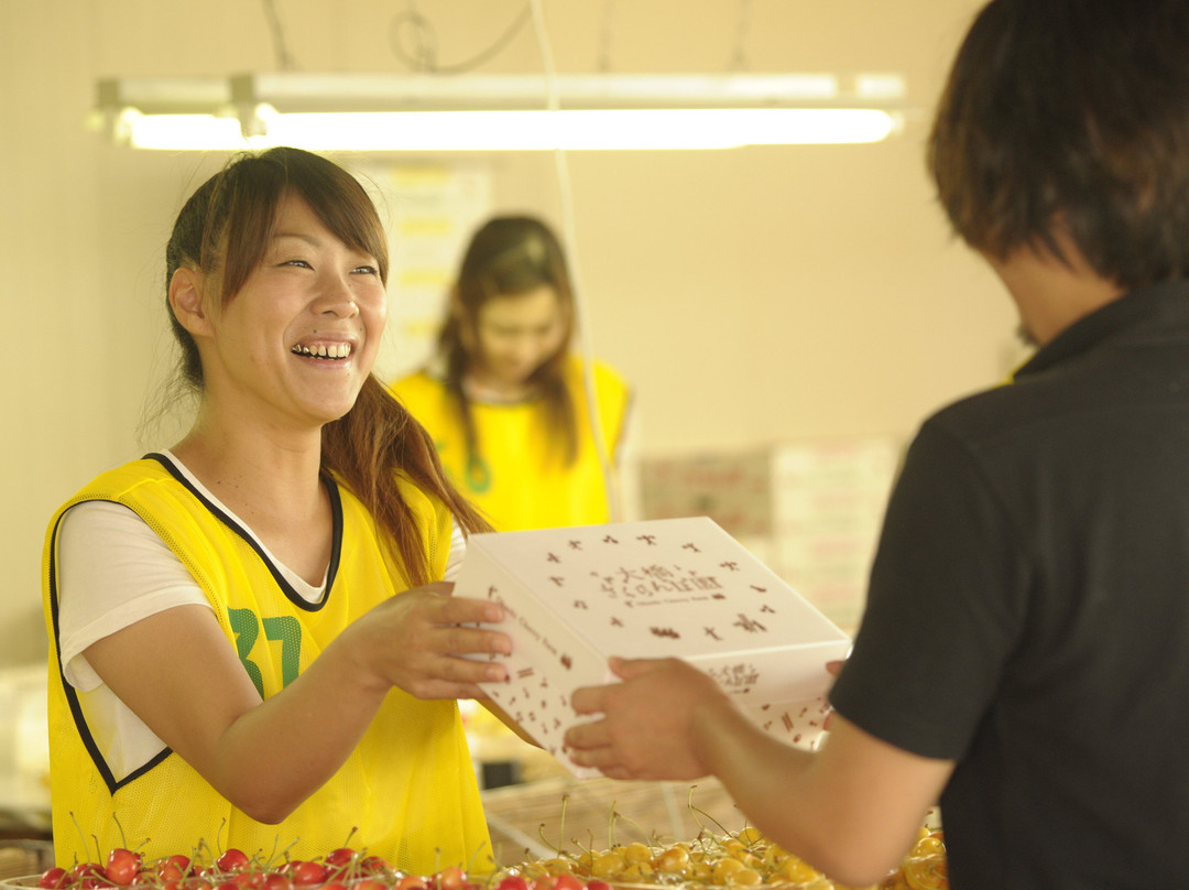 Ohashi Cherry Farm-芦别市必去景点