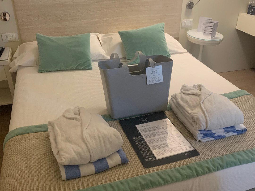 Hotel Mioni Pezzato & SPA主图