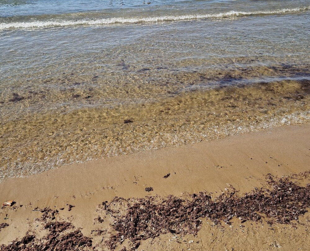 Platja dels Capellans景点图片