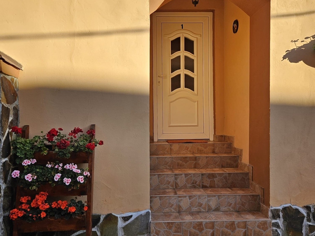 Pensiunea Casa Sighisoreana主图