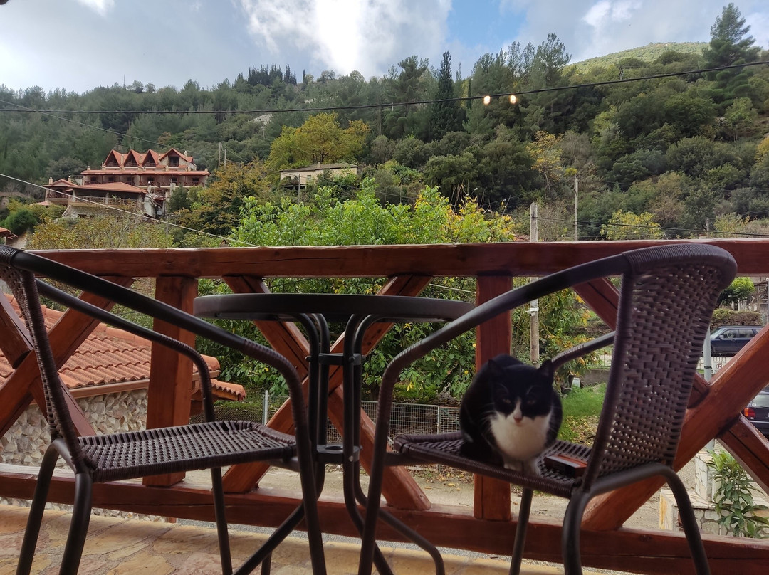 Suites Zachlorou