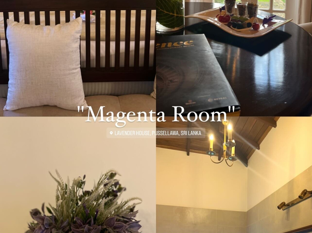 The Lavender House By Reveal主图