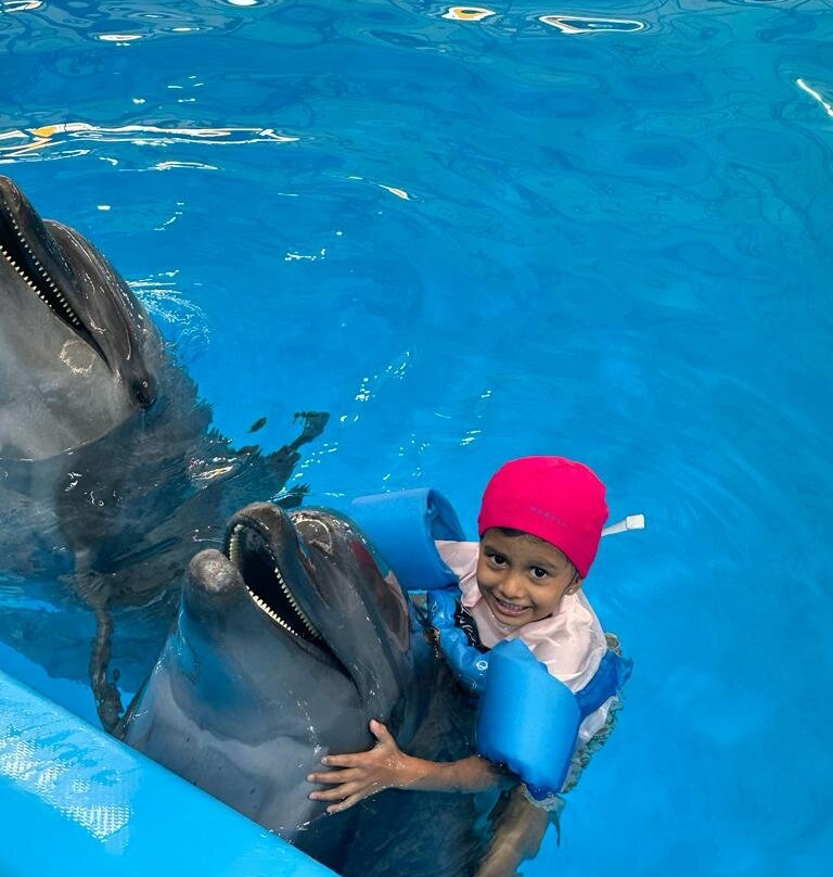 Pattaya Dolphinarium景点图片