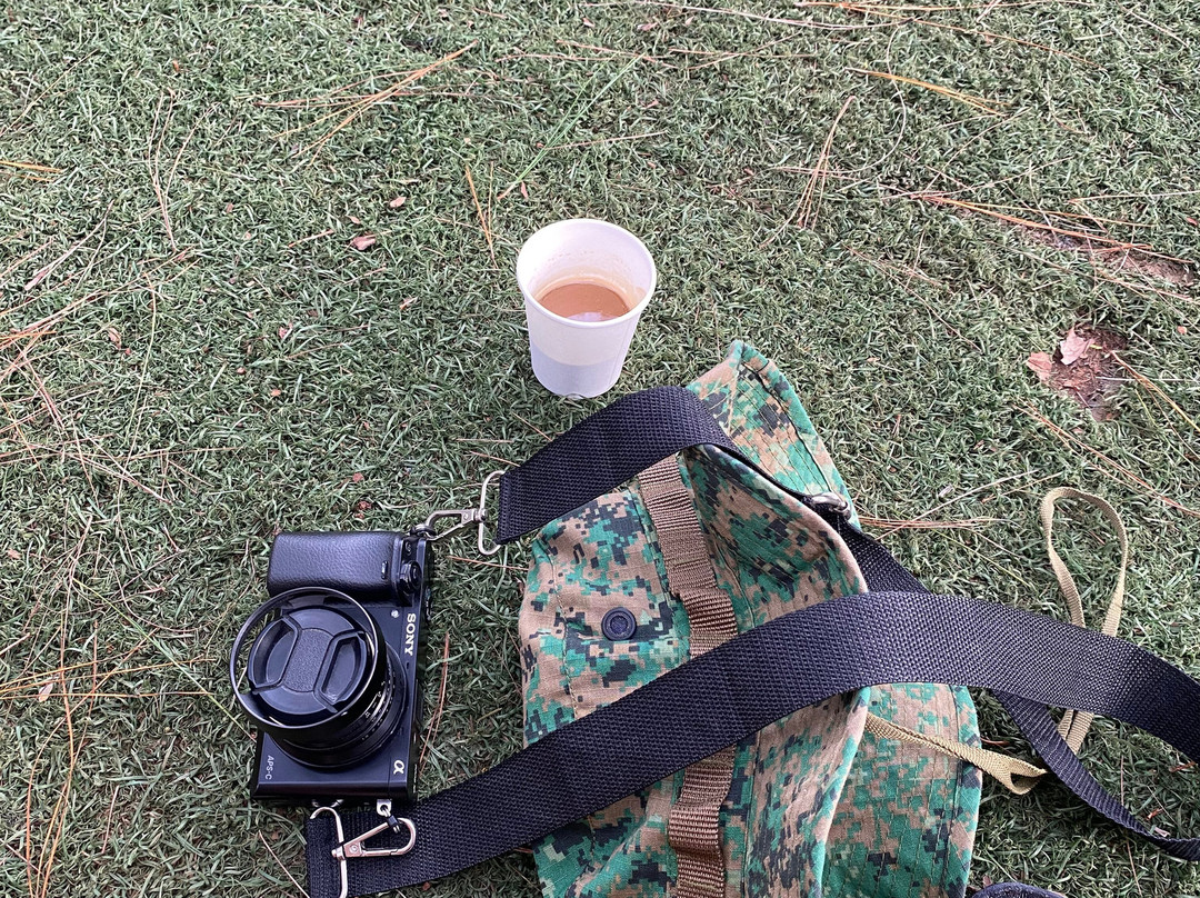 HIGHLAND ADVENTURE-DALAT ADVENTURE TOURS-Lam Dong必去景点