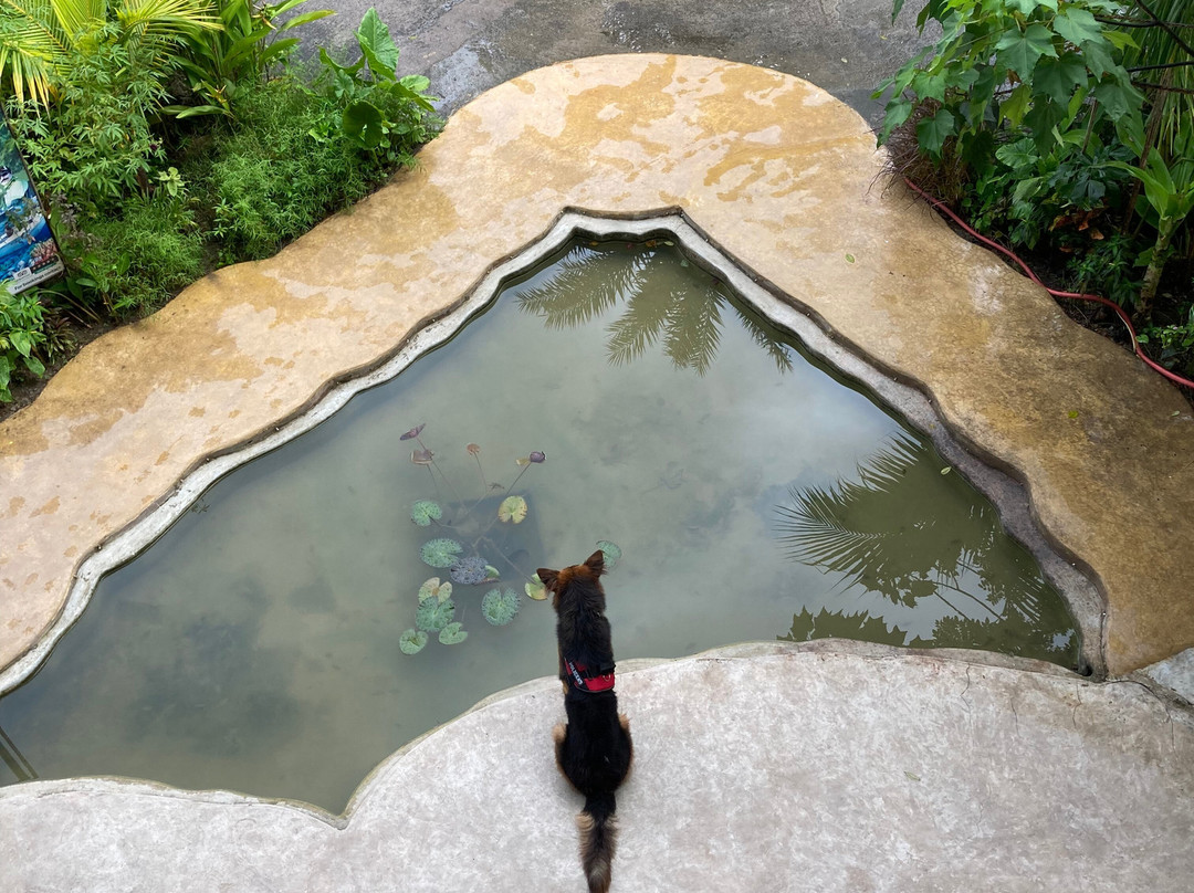 Matsya Island Retreat主图