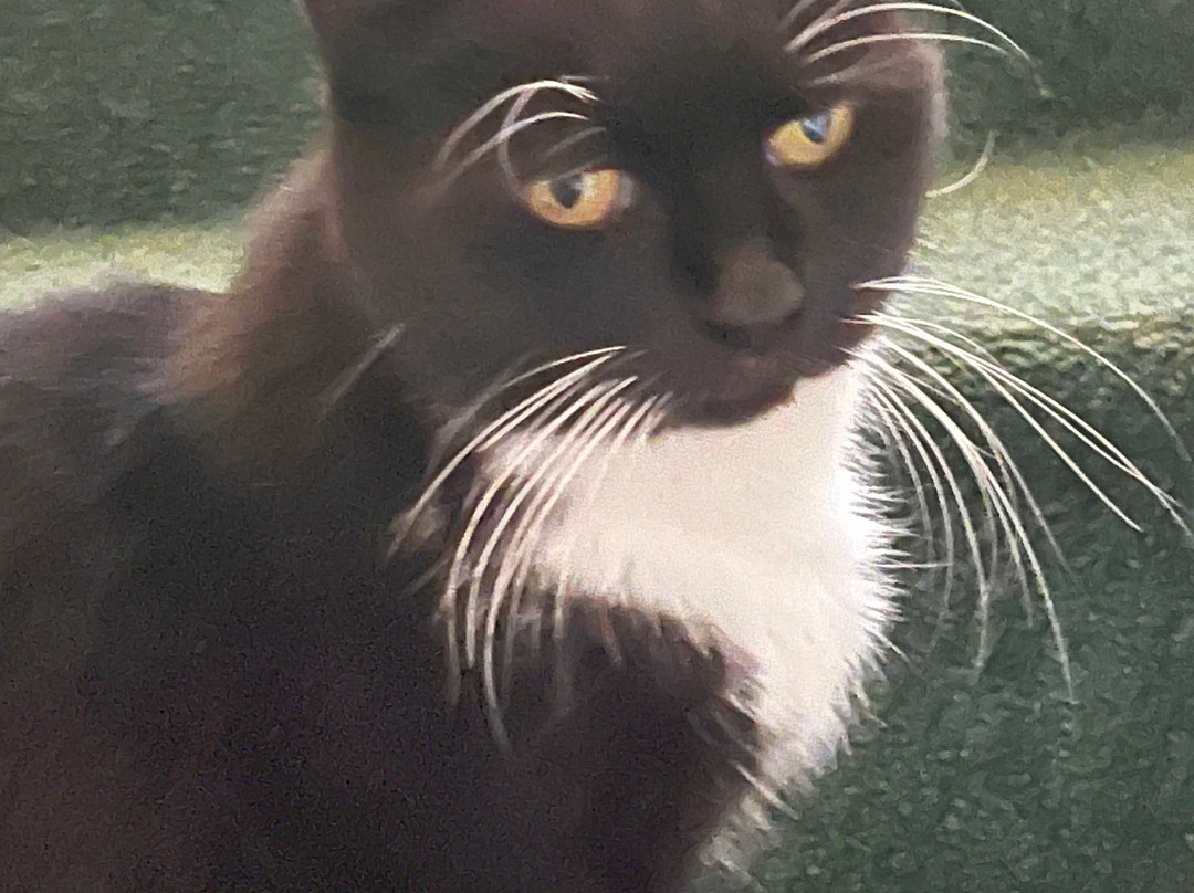 Winter Clove Inn主图