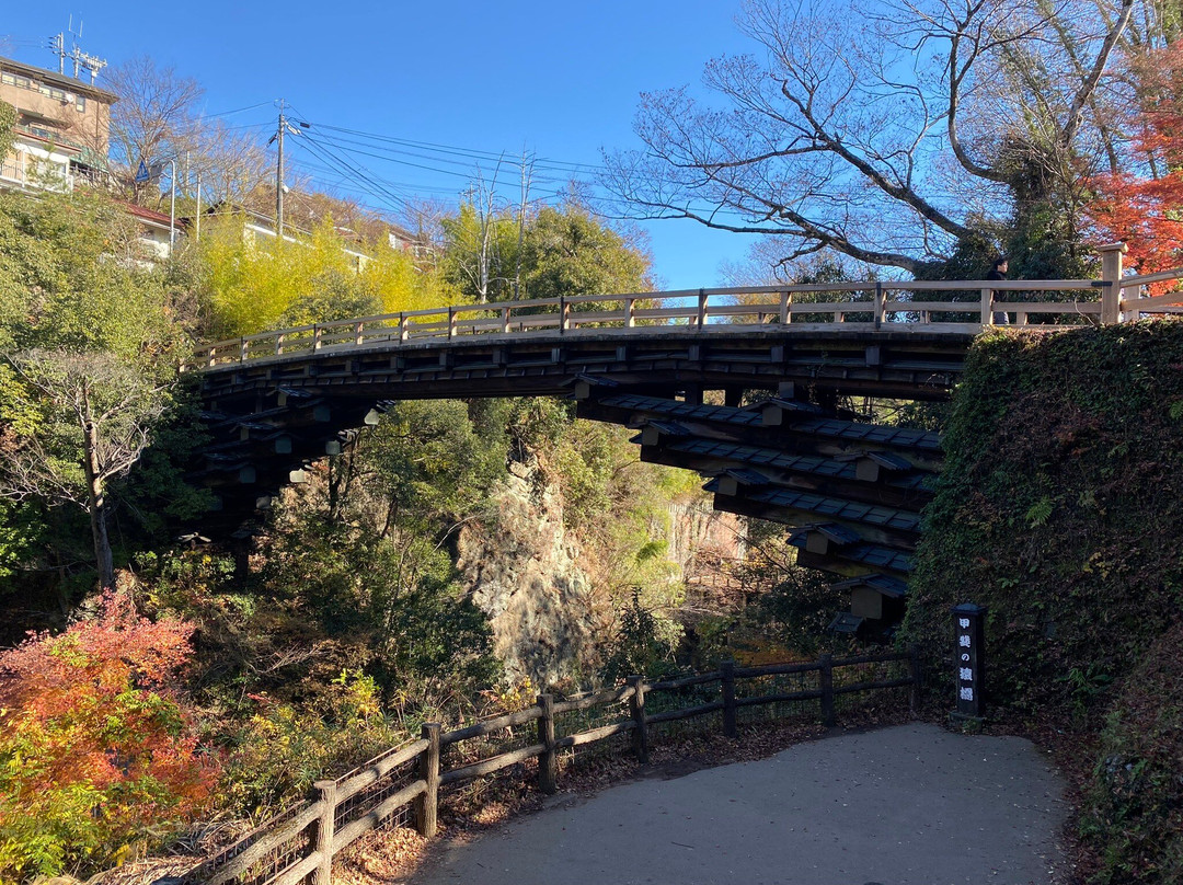 Saru Bridge景点图片