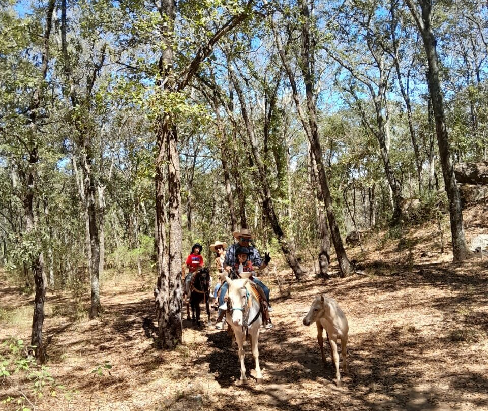 Caballos Huasca Tours-华斯卡德奥坎波必去景点