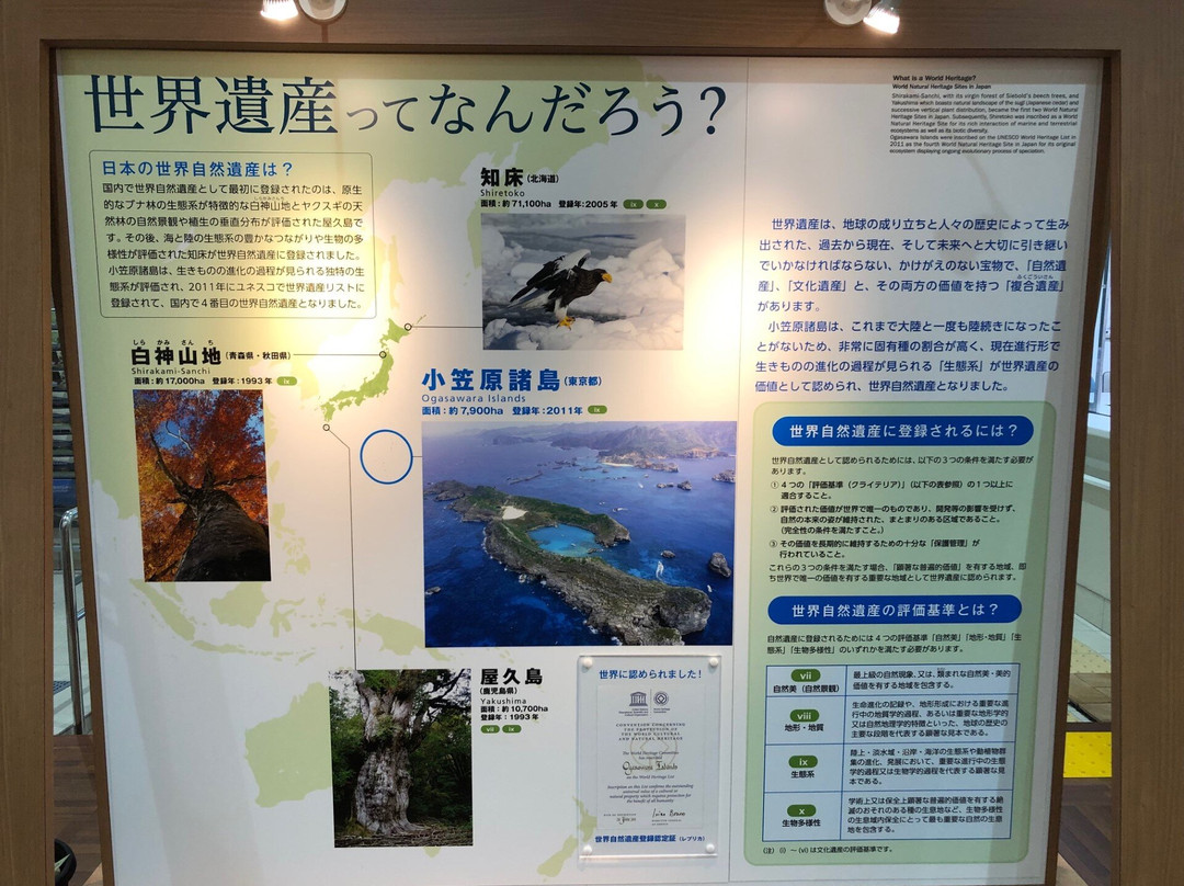 Ogasawara Visitor Center景点图片