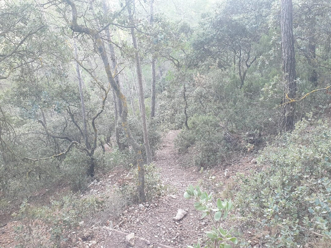 Sierra del Maigmó景点图片