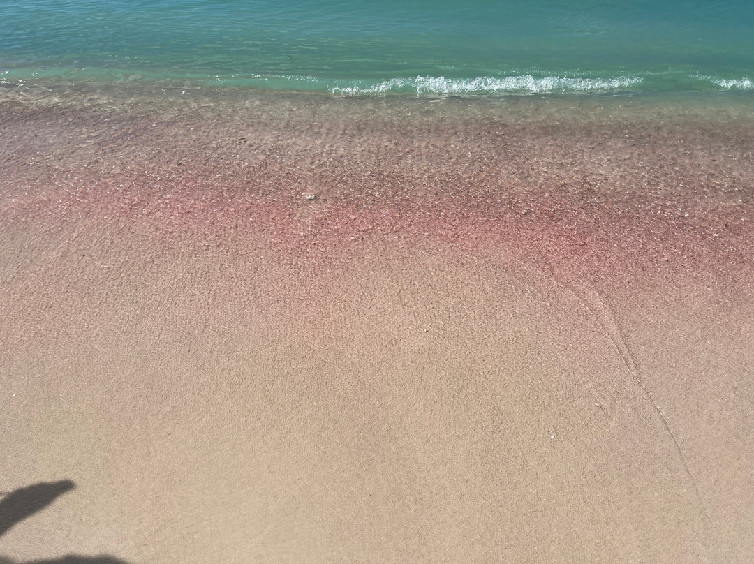 Barbuda Express-圣 约翰必去景点