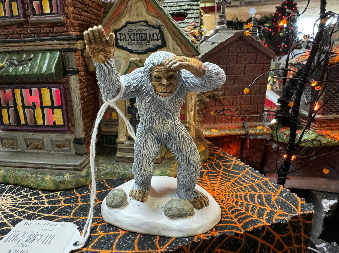 Shell Factory & Nature Park-North Fort Myers必去景点