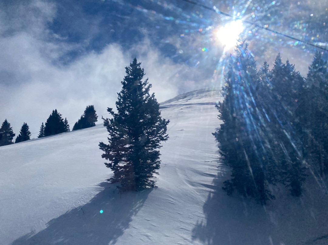 Ski Apache-鲁伊多索必去景点