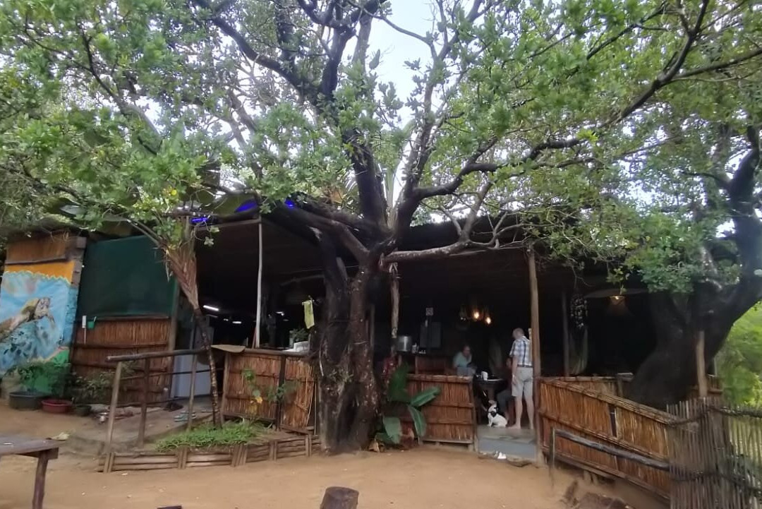 Amangwane Tented Camp主图