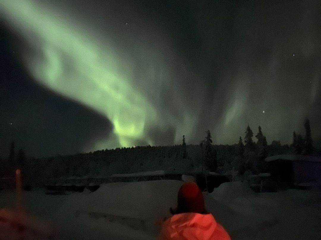 Snowdog The Arctic Adventure Co.-基律纳必去景点