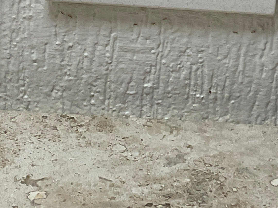 Gamma Villahermosa Centro主图