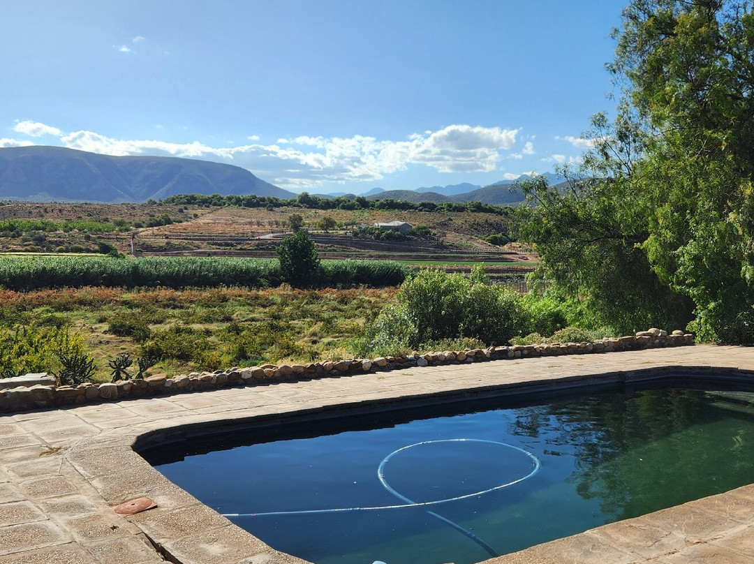 Calitzdorp Country House主图