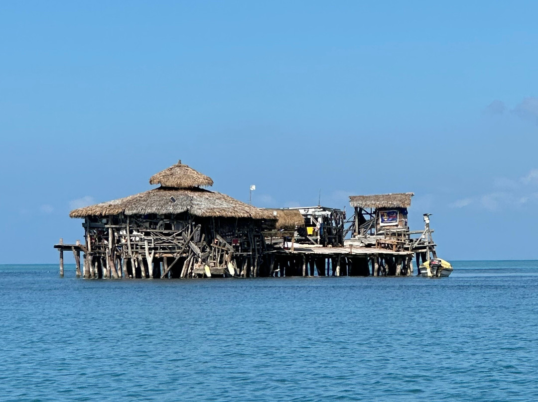 Captain Dennis Boat Tours-瑰宝滩必去景点