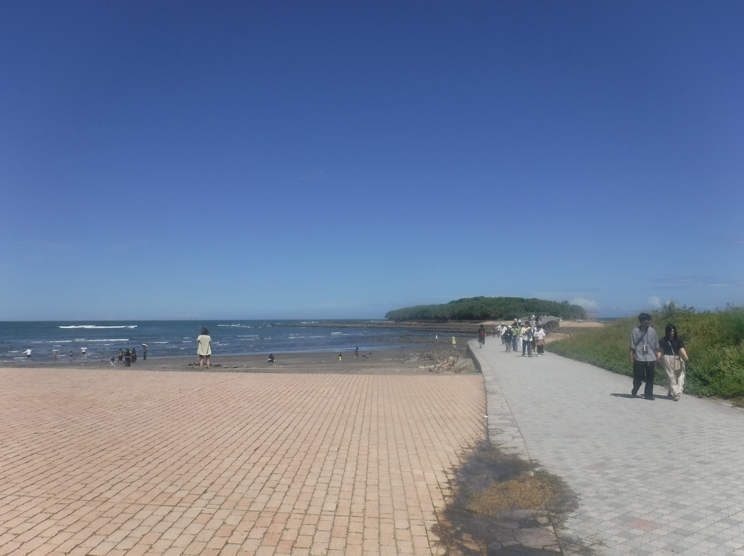 Aoshima Beach-宫崎市必去景点