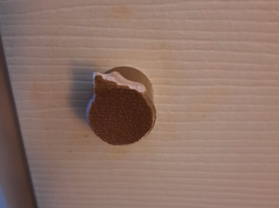 SpringHill Suites by Marriott New Bern主图